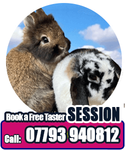 Jacks Place Care 
