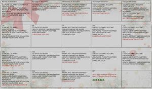 December activities 2025