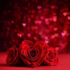 Happy Valentines day