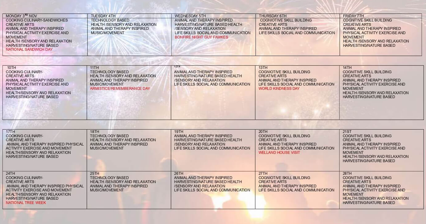 November activities November activities